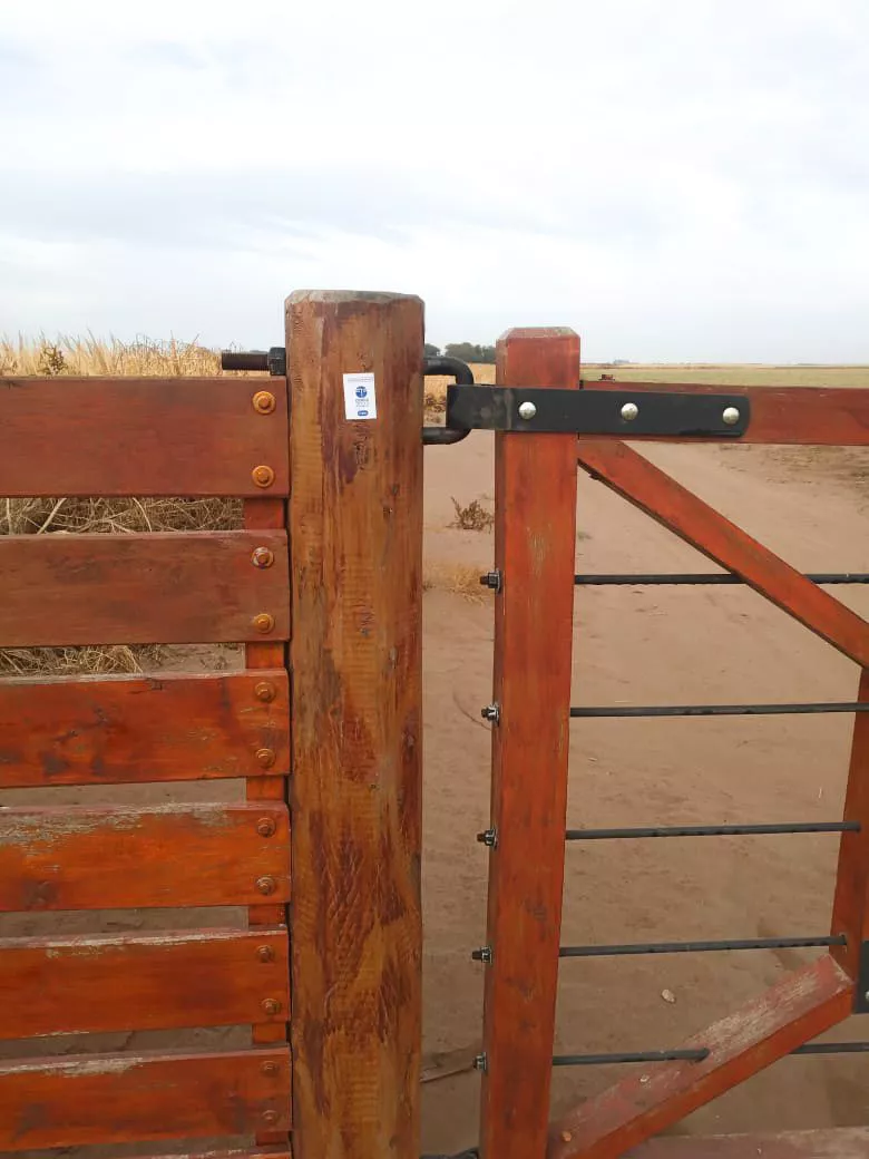 74254_img-20220511-wa0035