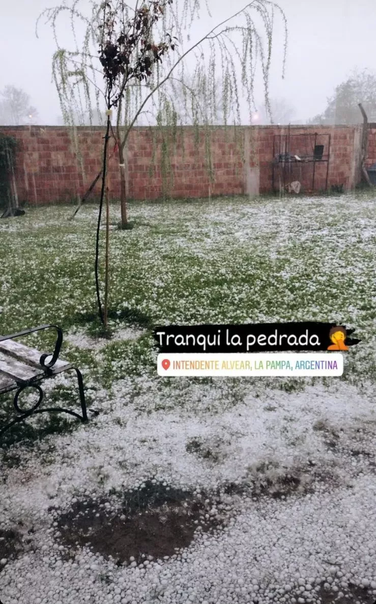 f0c900d5-16a9-4310-bd98-a1fca983b3e3