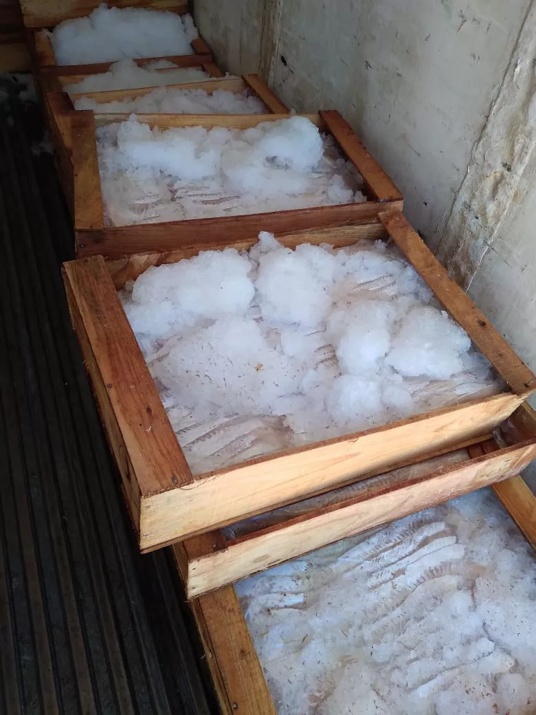 93f40df0-5b7f-4fe5-89b1-d86784b12eb3