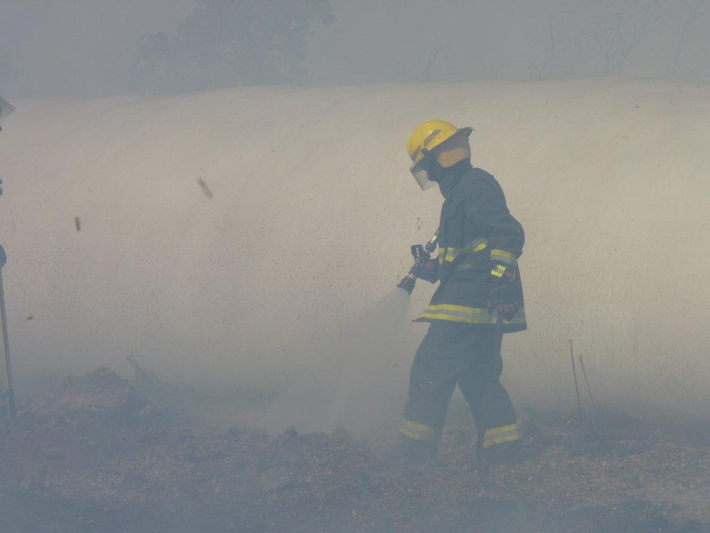 P1050983 (FILEminimizer)