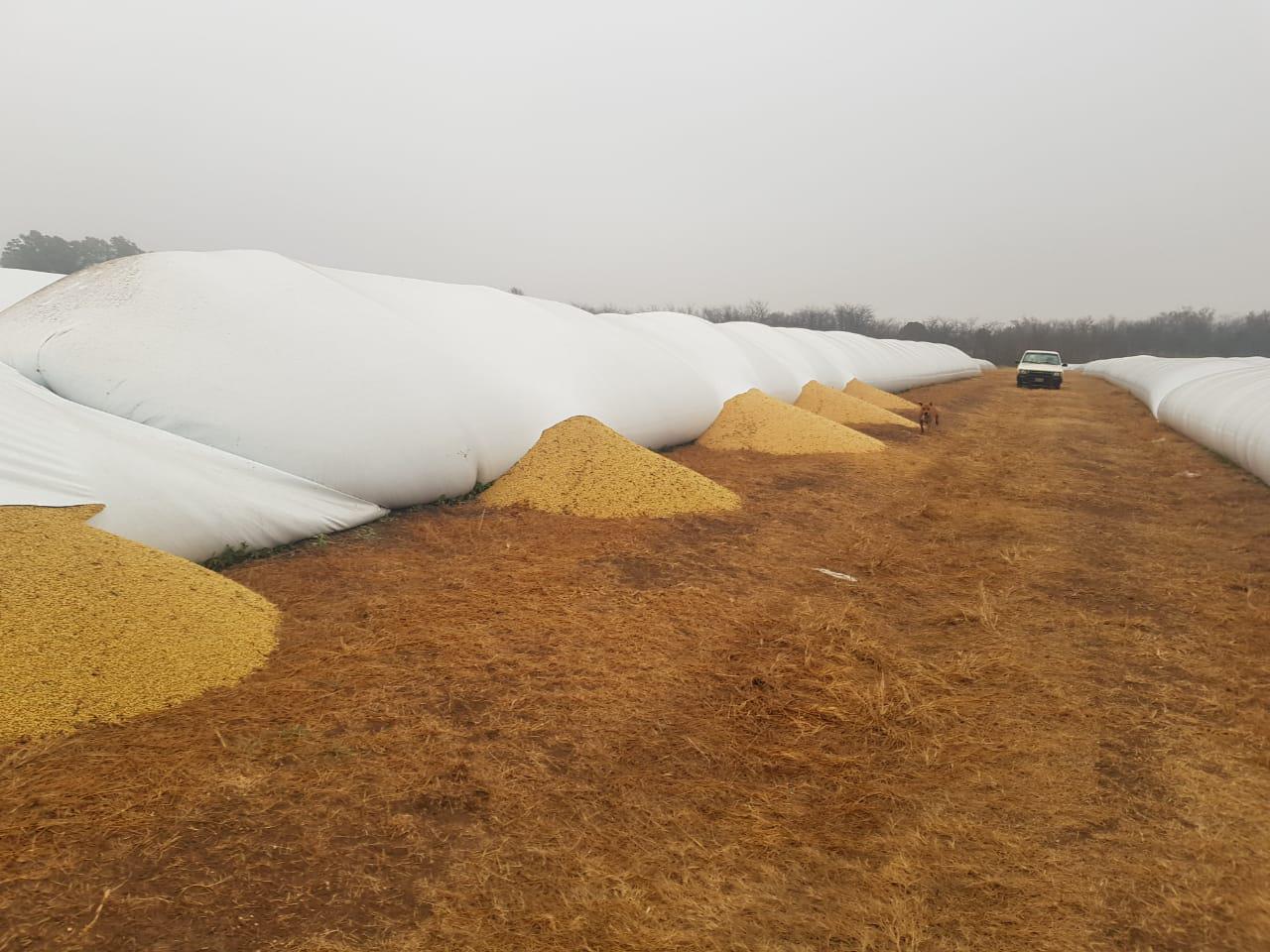 21b6d34d-f16f-4a87-ac91-838a60af0b20