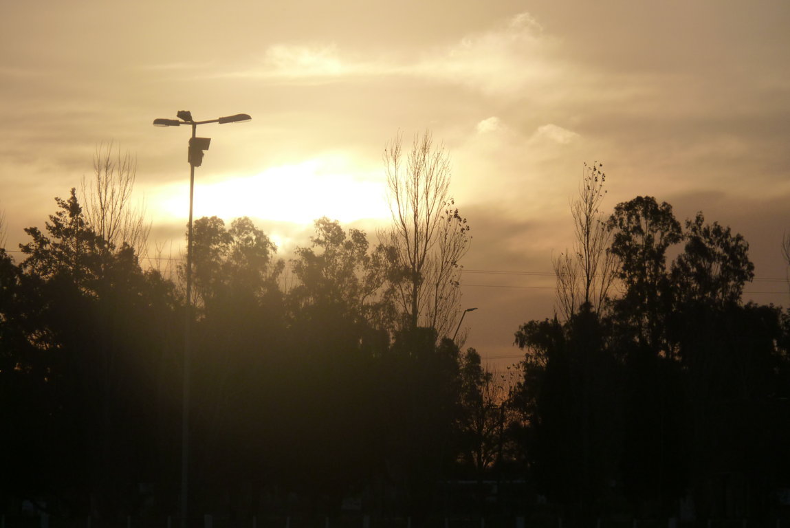 P1390012 (FILEminimizer)