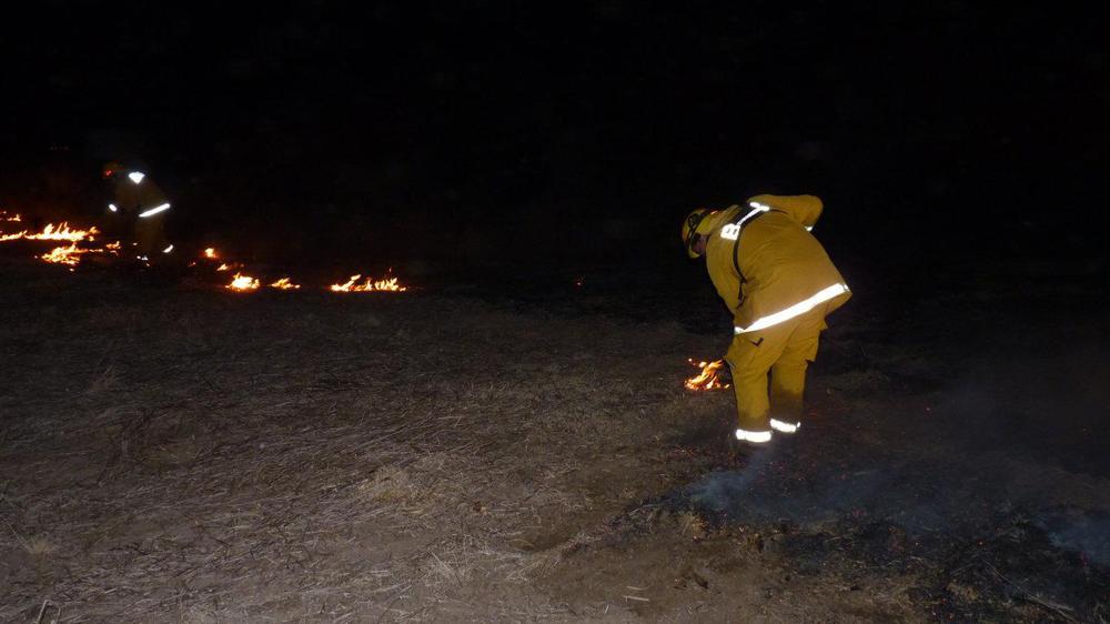 P1050486 (FILEminimizer)