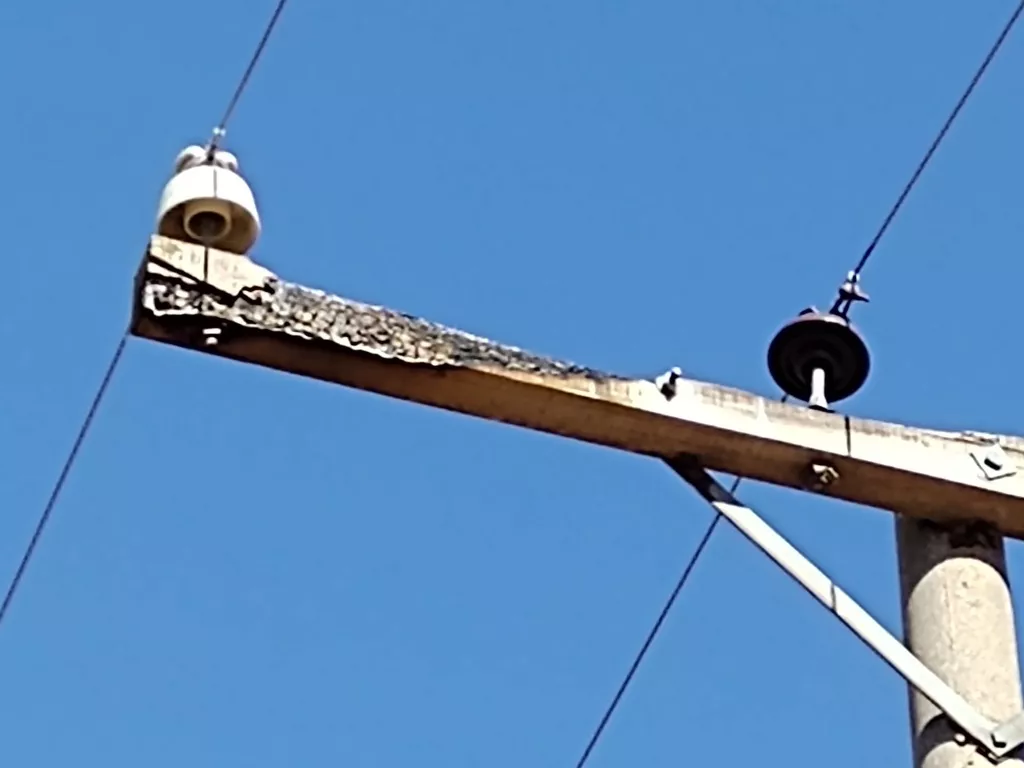 IMG_20220518_131131065 (FILEminimizer)