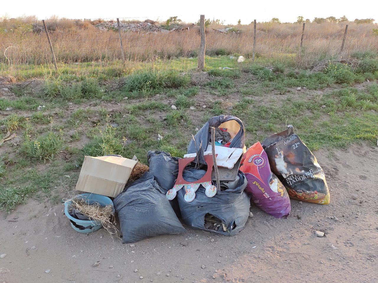 d054a6d1-2f4e-4c11-9918-6bc183dd9d0f