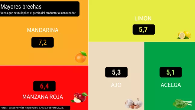 GRAFICO UNO CAME FEBRERO 2