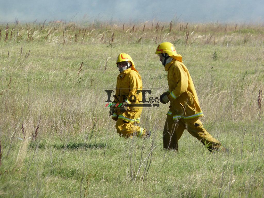 P1320429 (FILEminimizer)