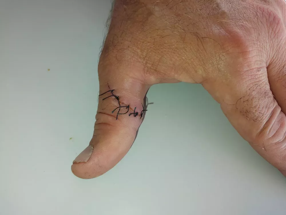 david quiroz mendoza 2 (FILEminimizer)