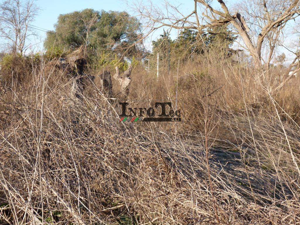 P1220899 (FILEminimizer)