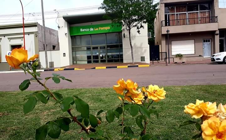 FB_IMG_1573260532853