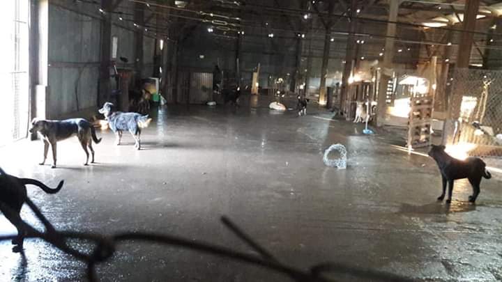 9e88af25-2c1a-4fed-89fb-70336a5e18f1