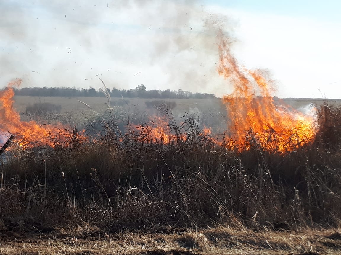 a6ecd863-ed13-45a2-90d7-8ed3a22f5388