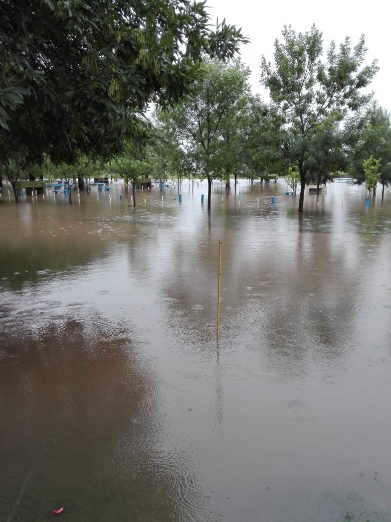 70dad001-74fb-4fbc-a1dc-65826ea51e00 (1)