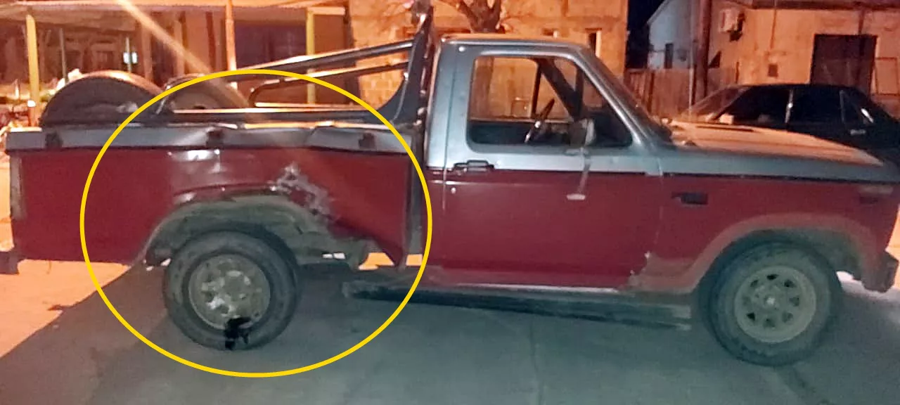 29d50bb2-9178-437e-8db8-aee0d6e39d03