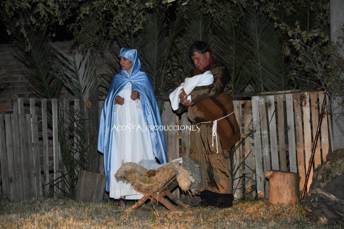 DSC_3501 (FILEminimizer)