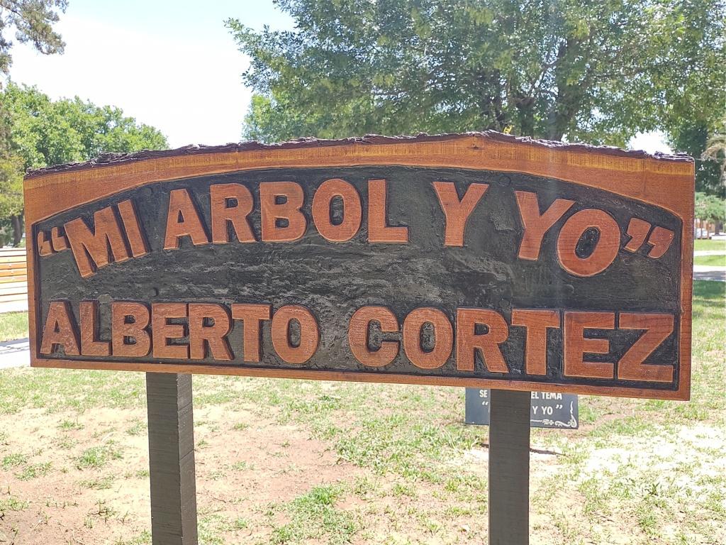 IMG_20201120_122343408_HDR (FILEminimizer)