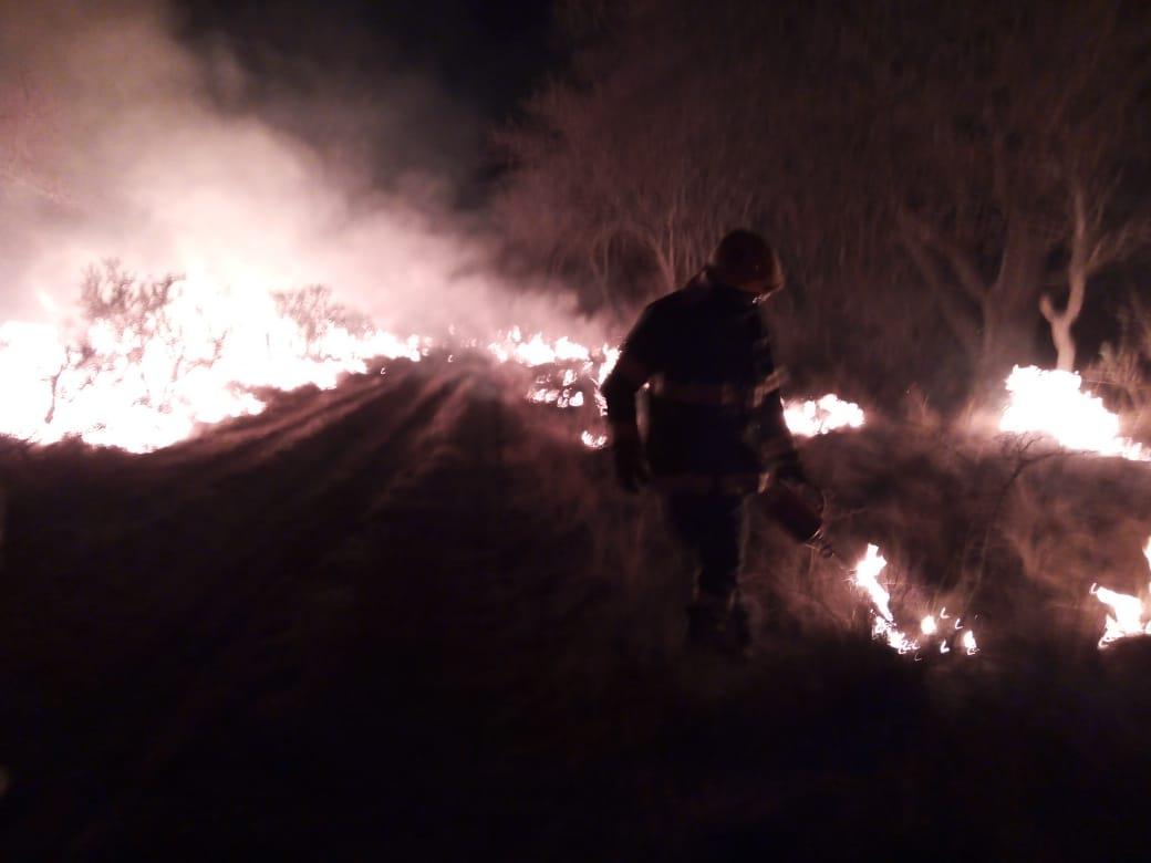 020fe047-bd6c-4b08-86ec-c2784a1e8850