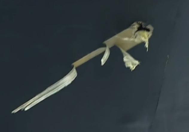 8a0b0942-c5f3-45ee-b3f0-c82607b4938b