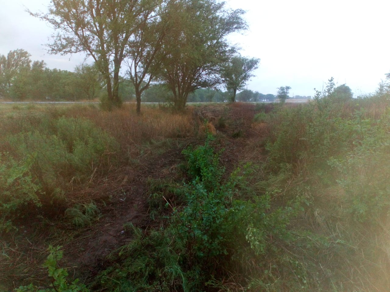 b474d11e-7ac1-4cc6-a1f9-c4138902cfa8