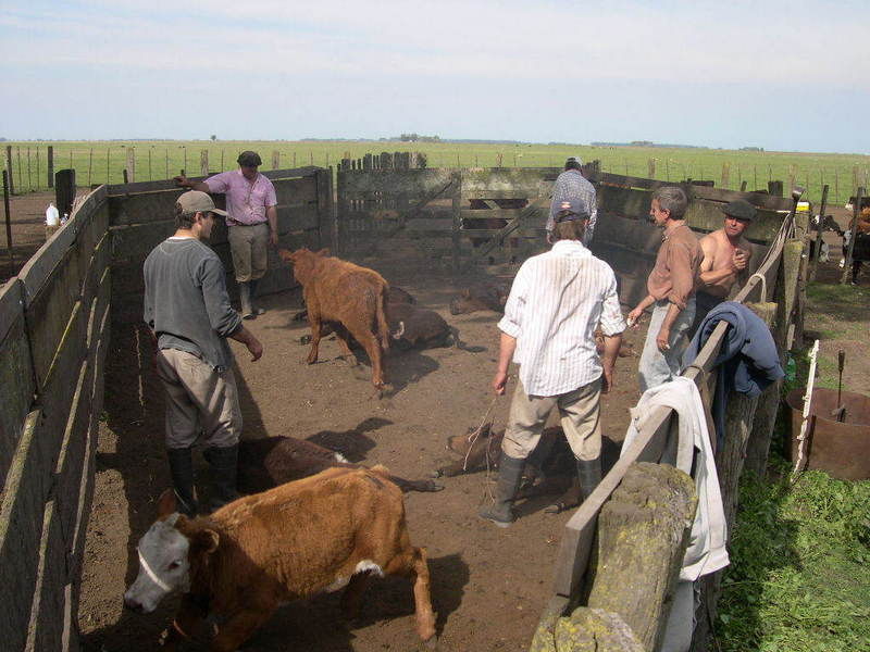 trabajador rural