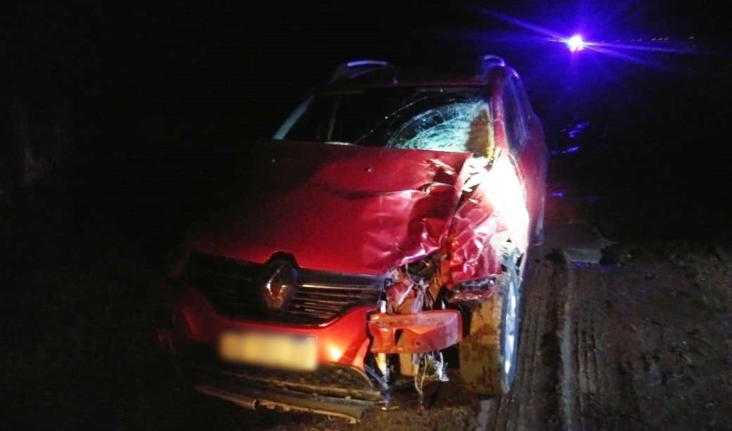 d207fe71-87de-4f62-a7a3-74da780aad99