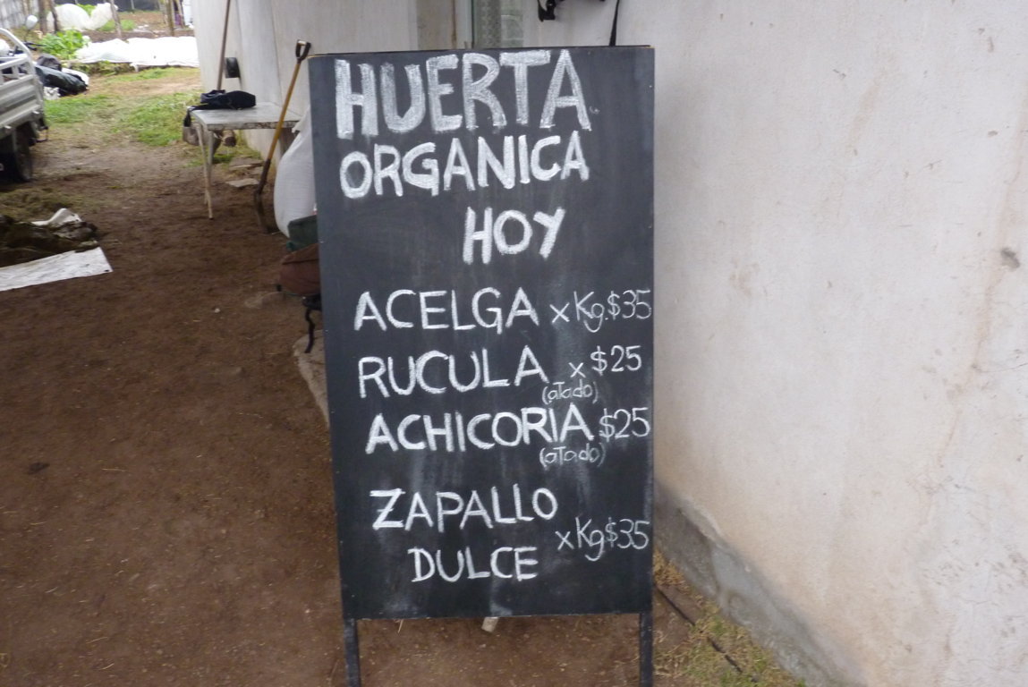 P1370508 (FILEminimizer)