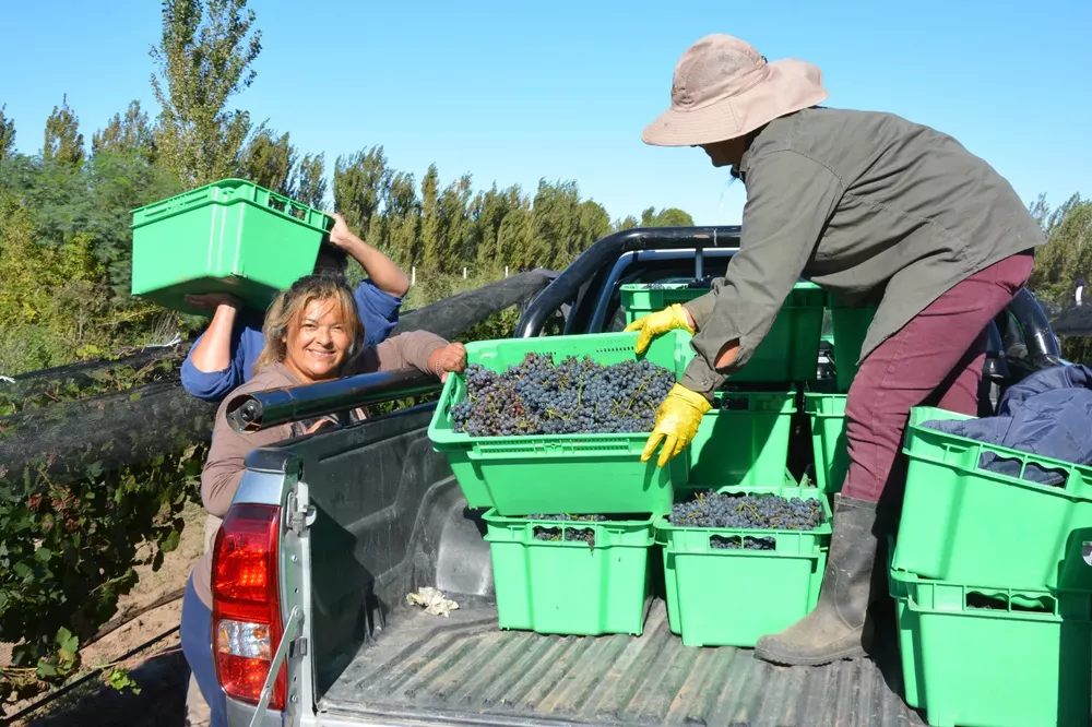 525785_whatsapp-image-2023-03-31-at-16.39.45