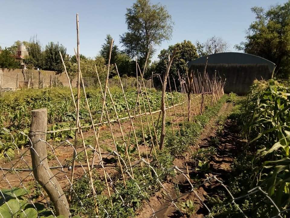 PRODUCTORES AGRICULTURA FAMILIAR 11