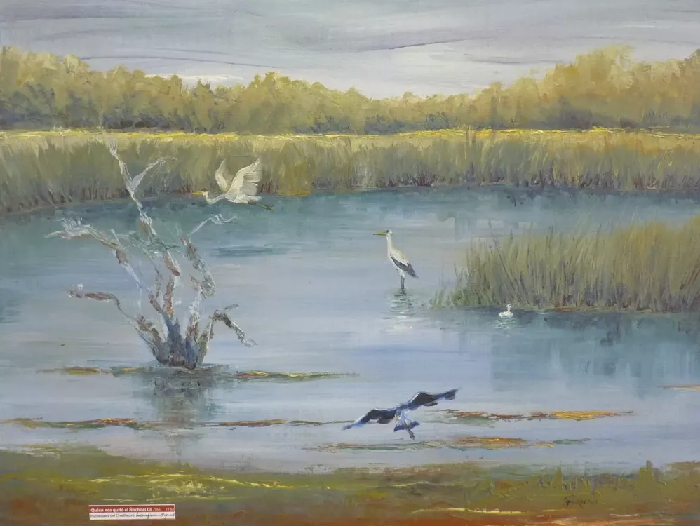 turismo 5 (FILEminimizer)