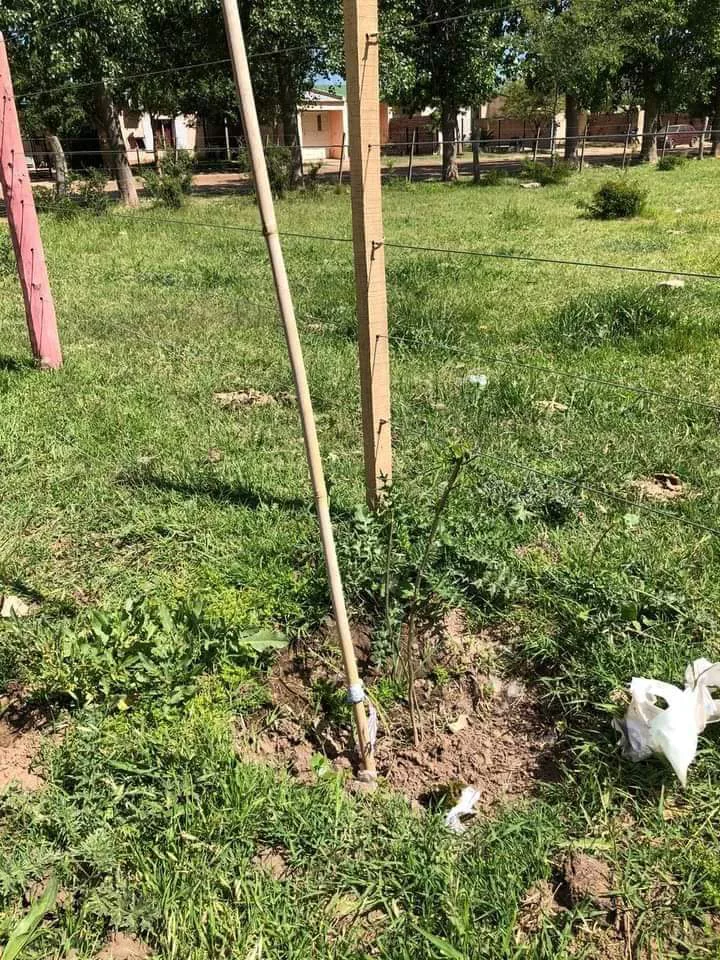 FB_IMG_1637244377933