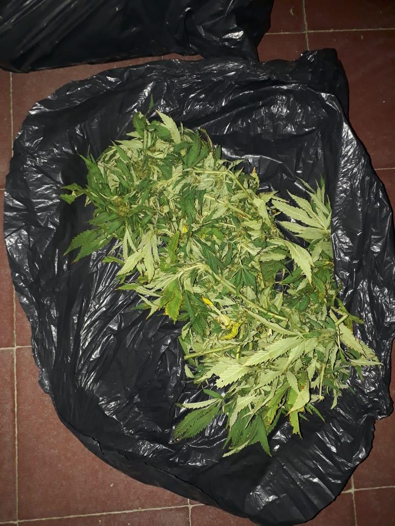 96844a2d-0457-4628-bdcb-4cb051e7f434