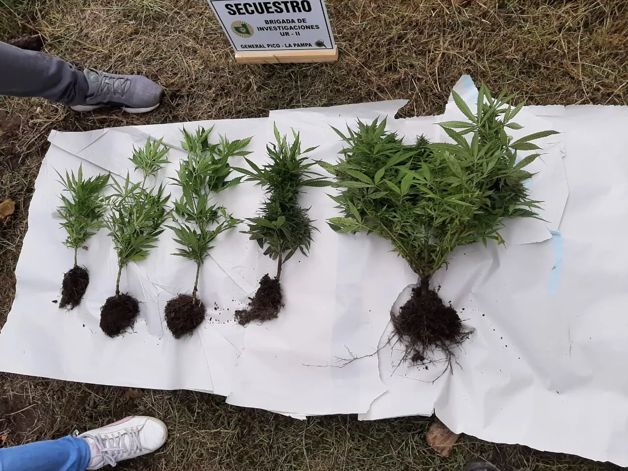 WhatsApp Image 2021-11-02 at 13.02.49