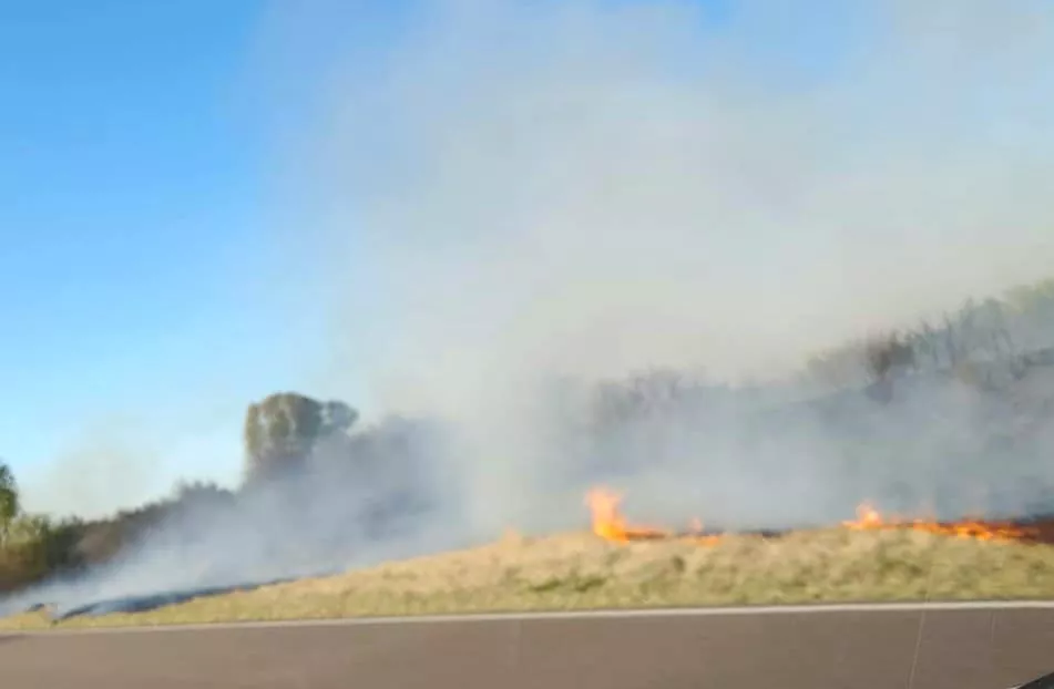 308430968_5798331706845120_3997889967182735130_n