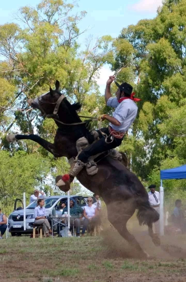 WhatsApp Image 2022-01-16 at 11.46.20 PM