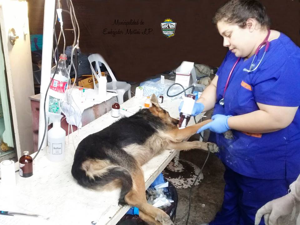 32117034_447748212320885_3277656278502998016_n