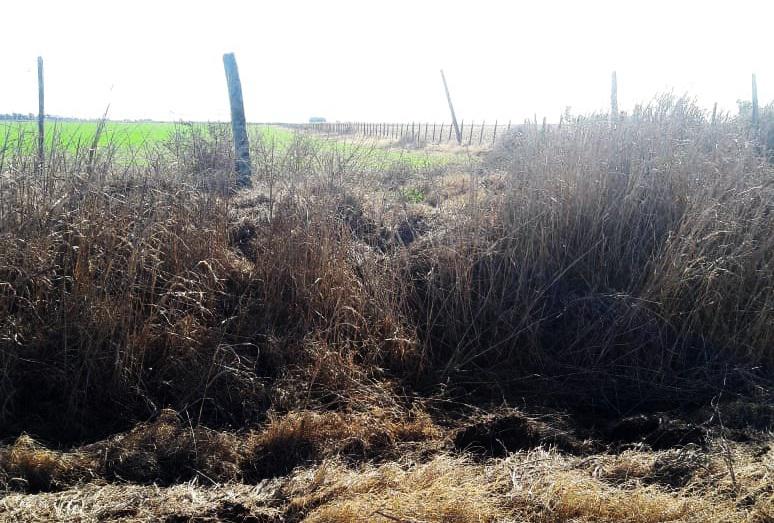 ff4f5670-dd65-4c58-b3cb-b9d2bbe2f09b