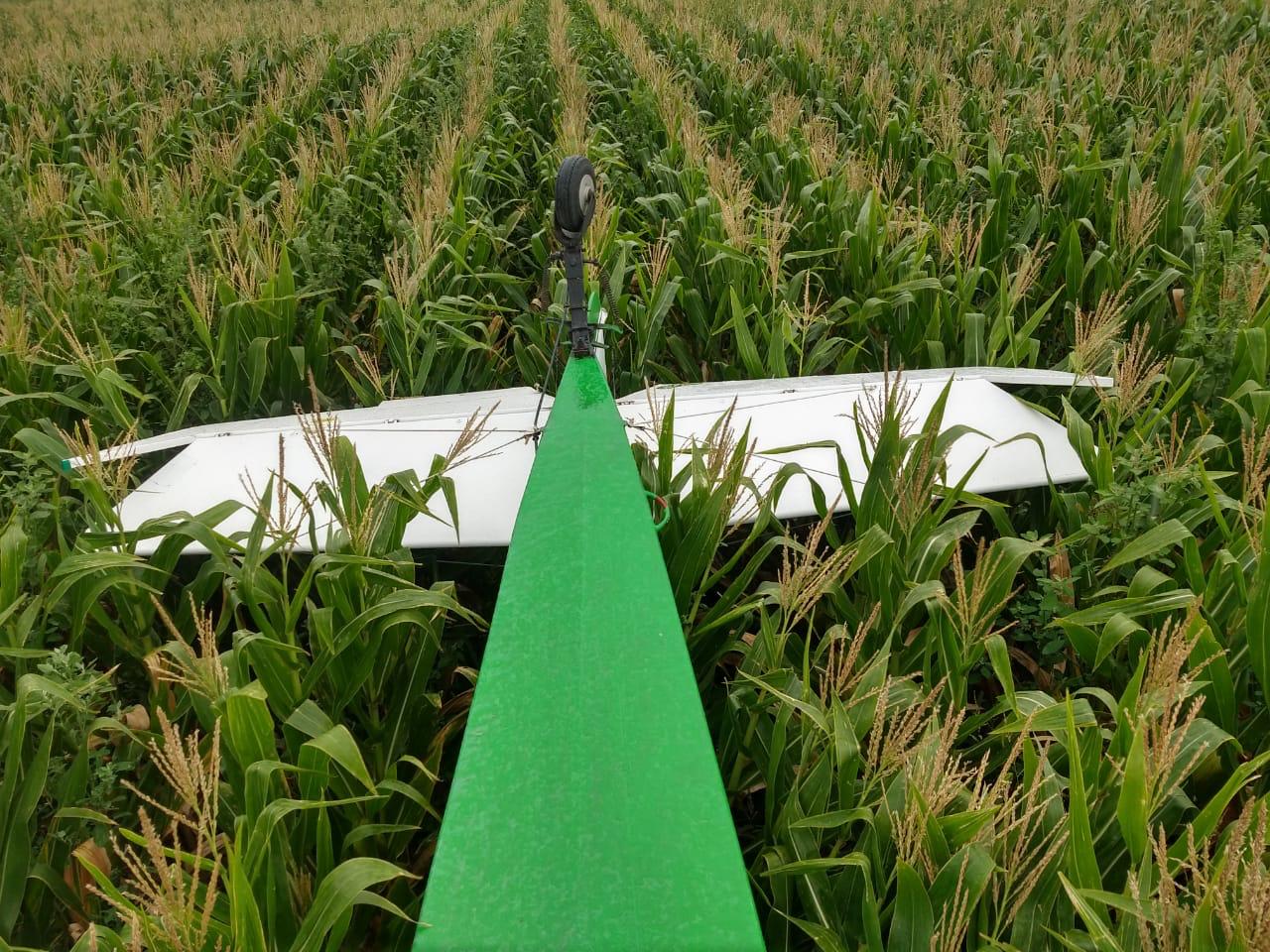 fb1f388d-0d75-404f-93ea-b0e1fb309bad