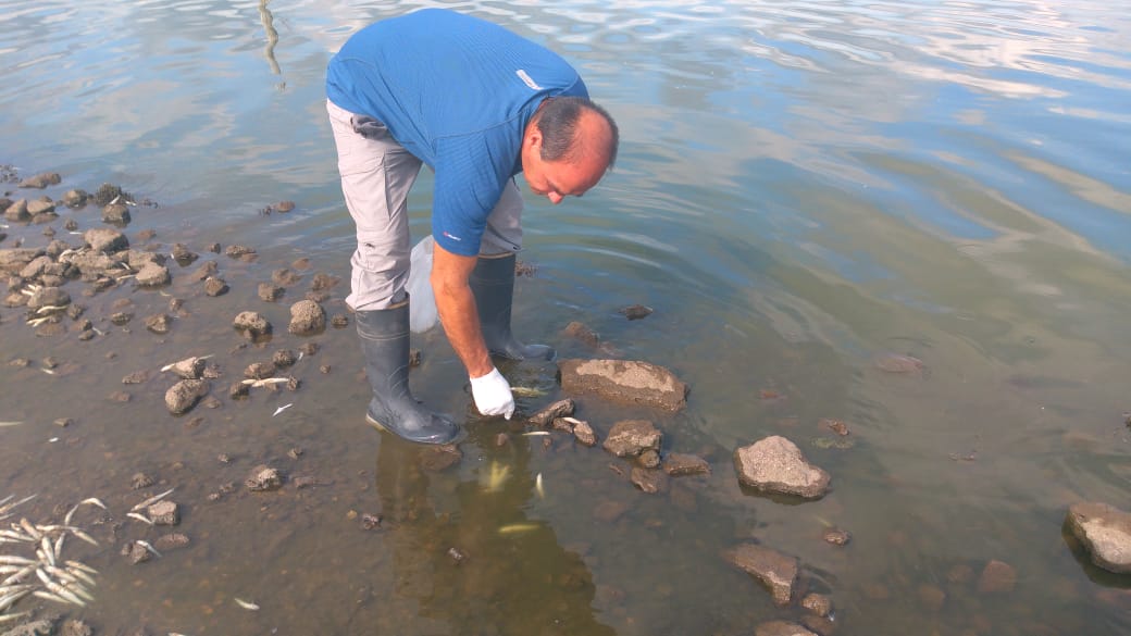 a0140be0-cabc-4a44-b758-ccd038e9f9c0