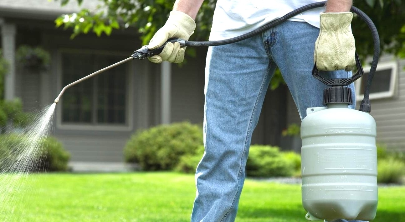 la-fumigacion-en-tu-jardin