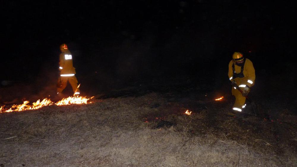 P1050488 (FILEminimizer)