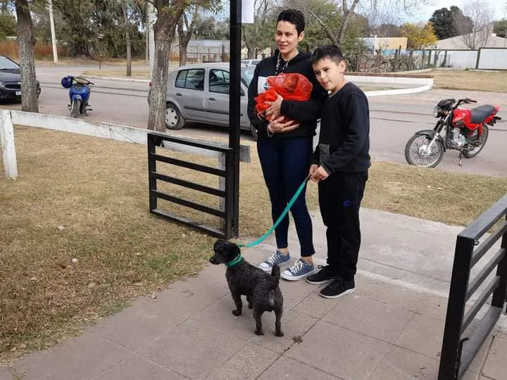 castración mascotas 1