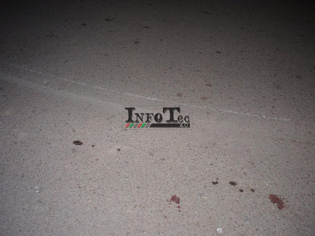 P1280864 (FILEminimizer)