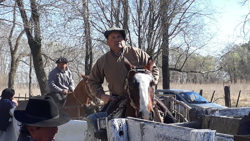 69750866_2642845645727091_8514007468651577344_n