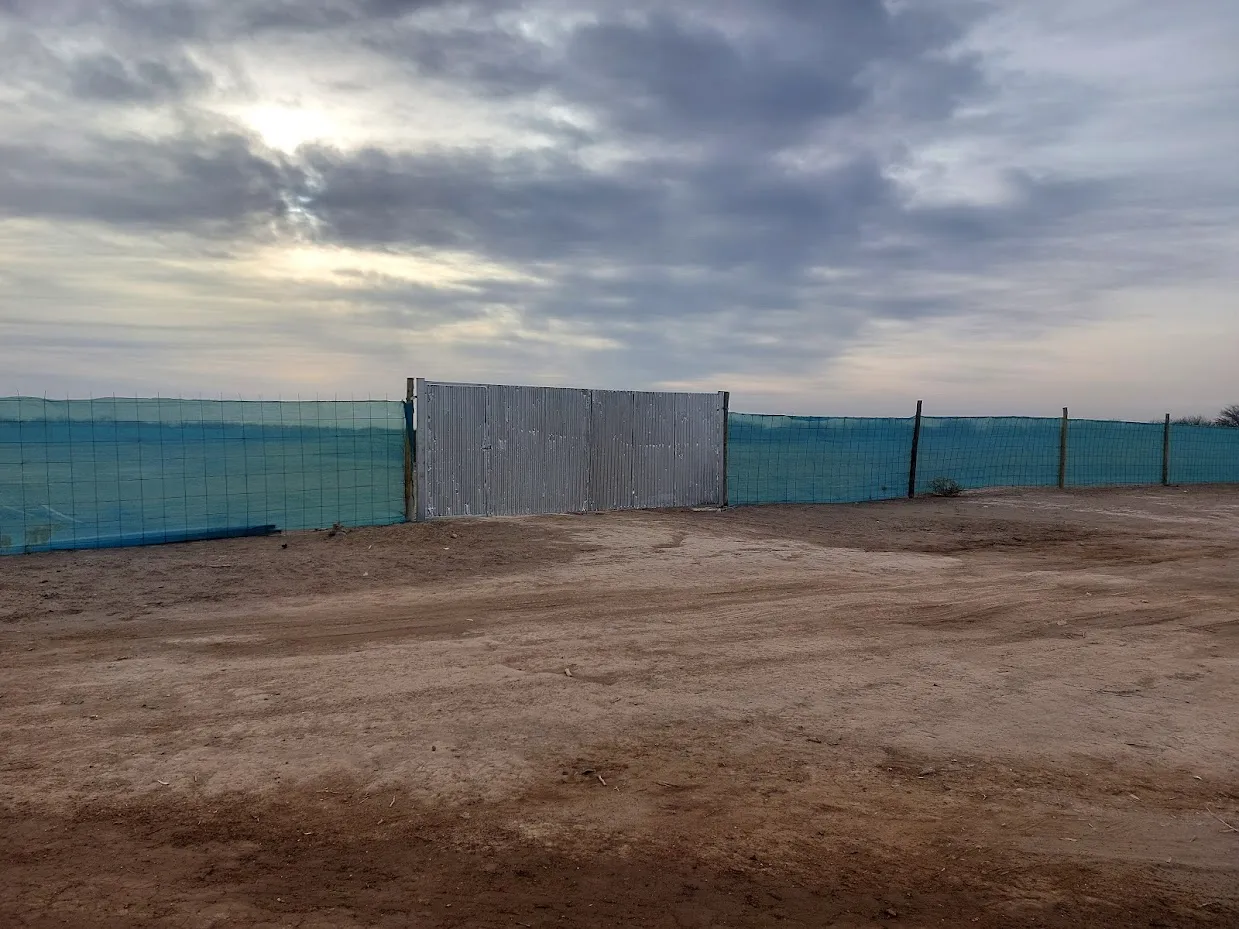 251125_20230731_094729