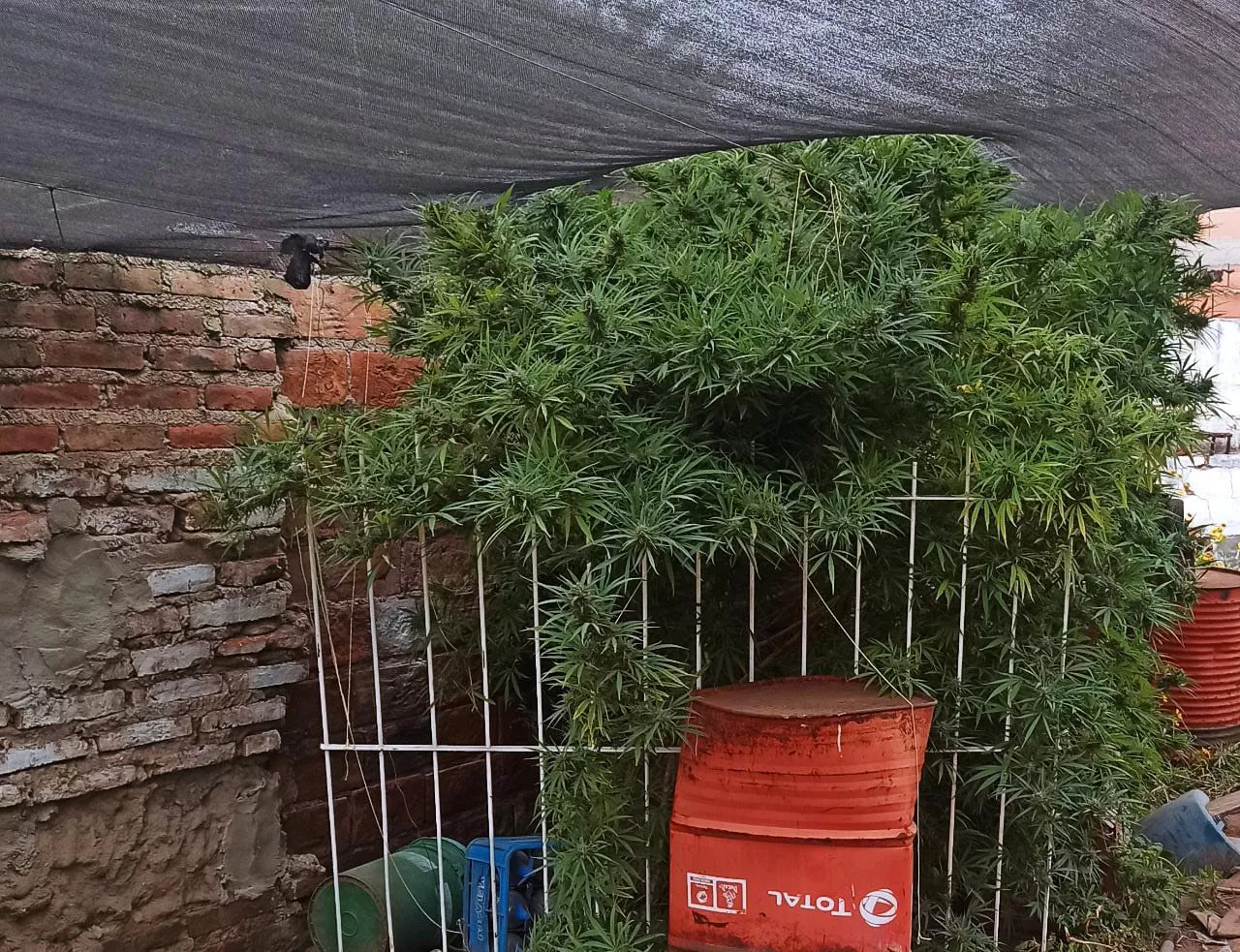 769fba58-6bcd-4641-9a6d-22da00ed8c41