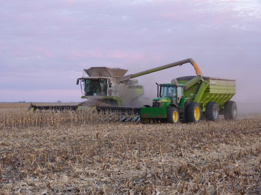 P1410399 (FILEminimizer)