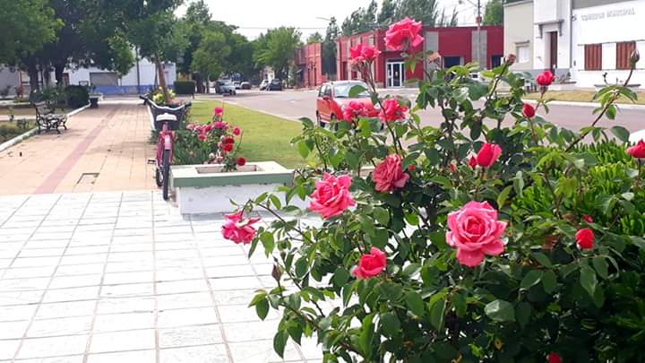 FB_IMG_1573260507586