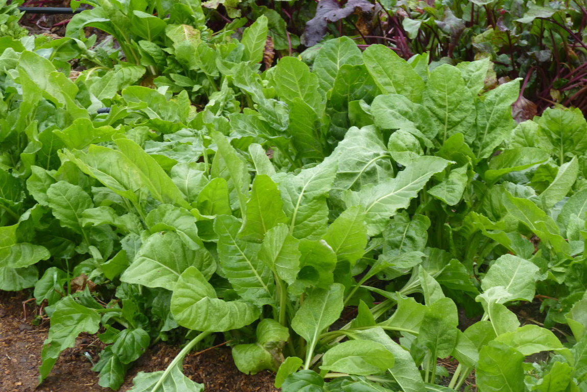 P1370503 (FILEminimizer)