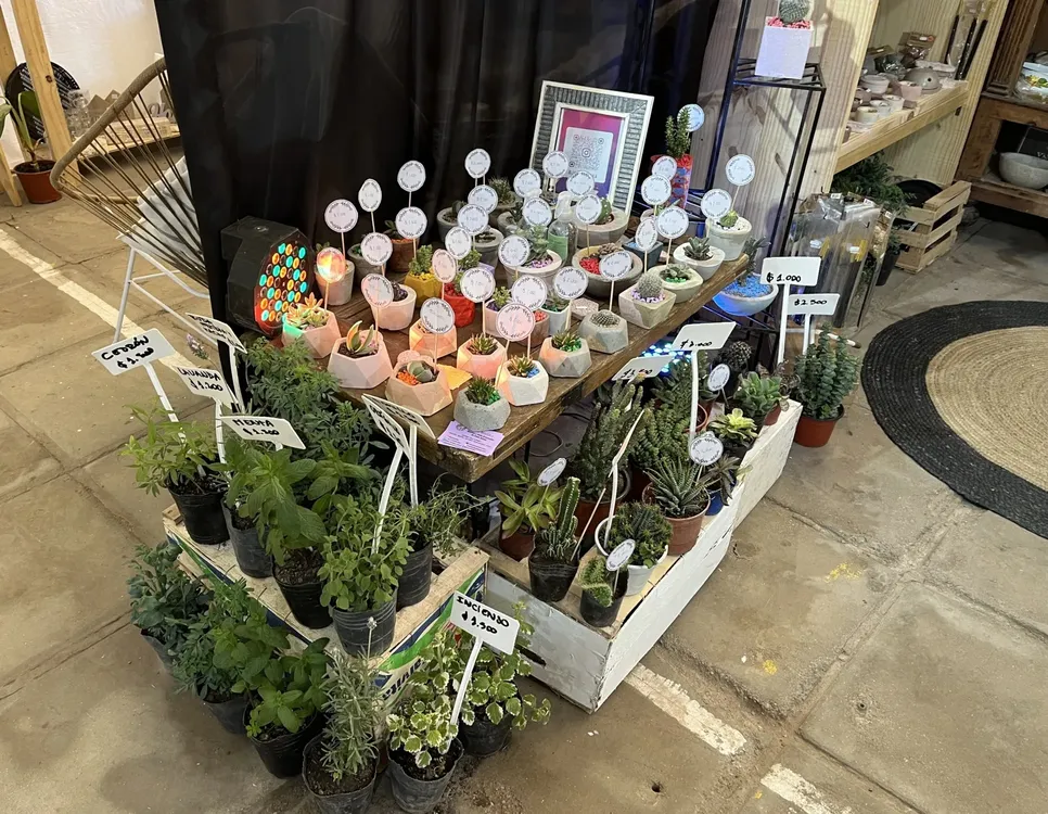 janas mistyka 7 (FILEminimizer)