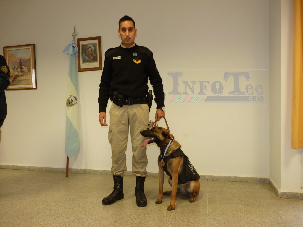 P1260315 (FILEminimizer)E